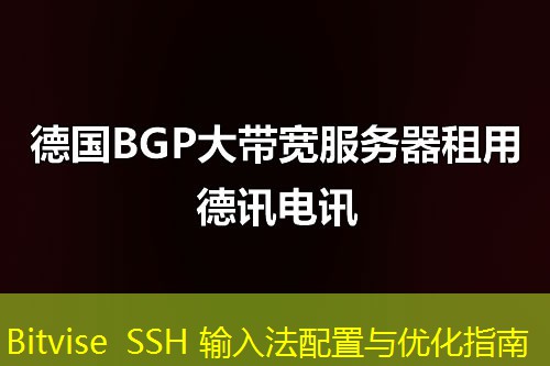 Bitvise SSH 輸入法配置與優(yōu)化指南