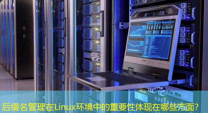 后綴名管理在Linux環(huán)境中的重要性體現(xiàn)在哪些方面？