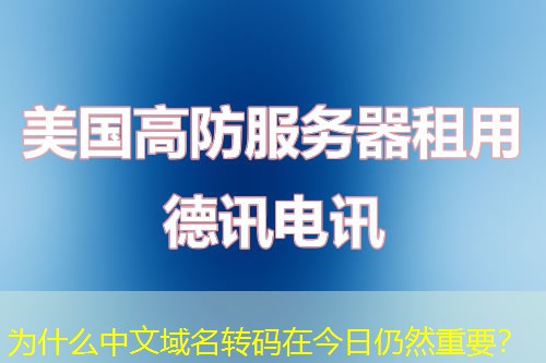 為什么中文域名轉碼在今日仍然重要？