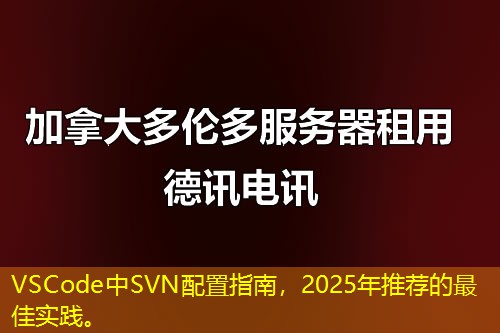 VSCode中SVN配置指南，2025年推薦的最佳實踐。