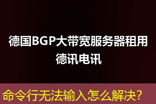 命令行無法輸入怎么解決？