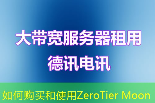 如何購買和使用ZeroTier Moon