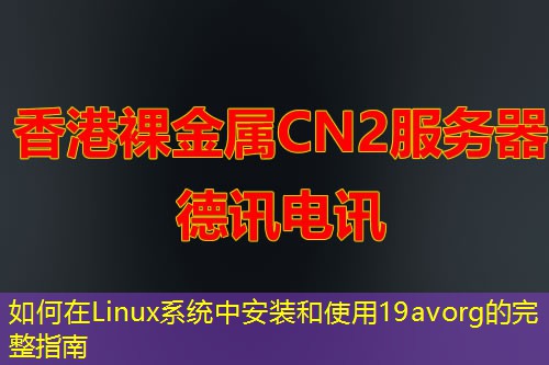 如何在Linux系統(tǒng)中安裝和使用19avorg的完整指南