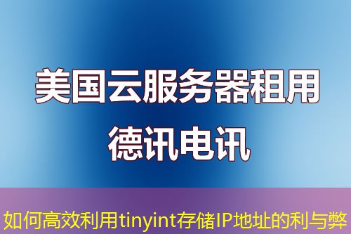如何高效利用tinyint存儲IP地址的利與弊