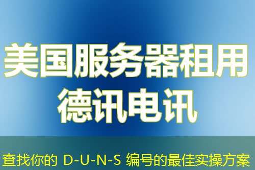 查找你的 D-U-N-S 編號的最佳實(shí)操方案