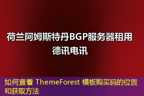 如何查看 ThemeForest 模板購買碼的位置和獲取方法